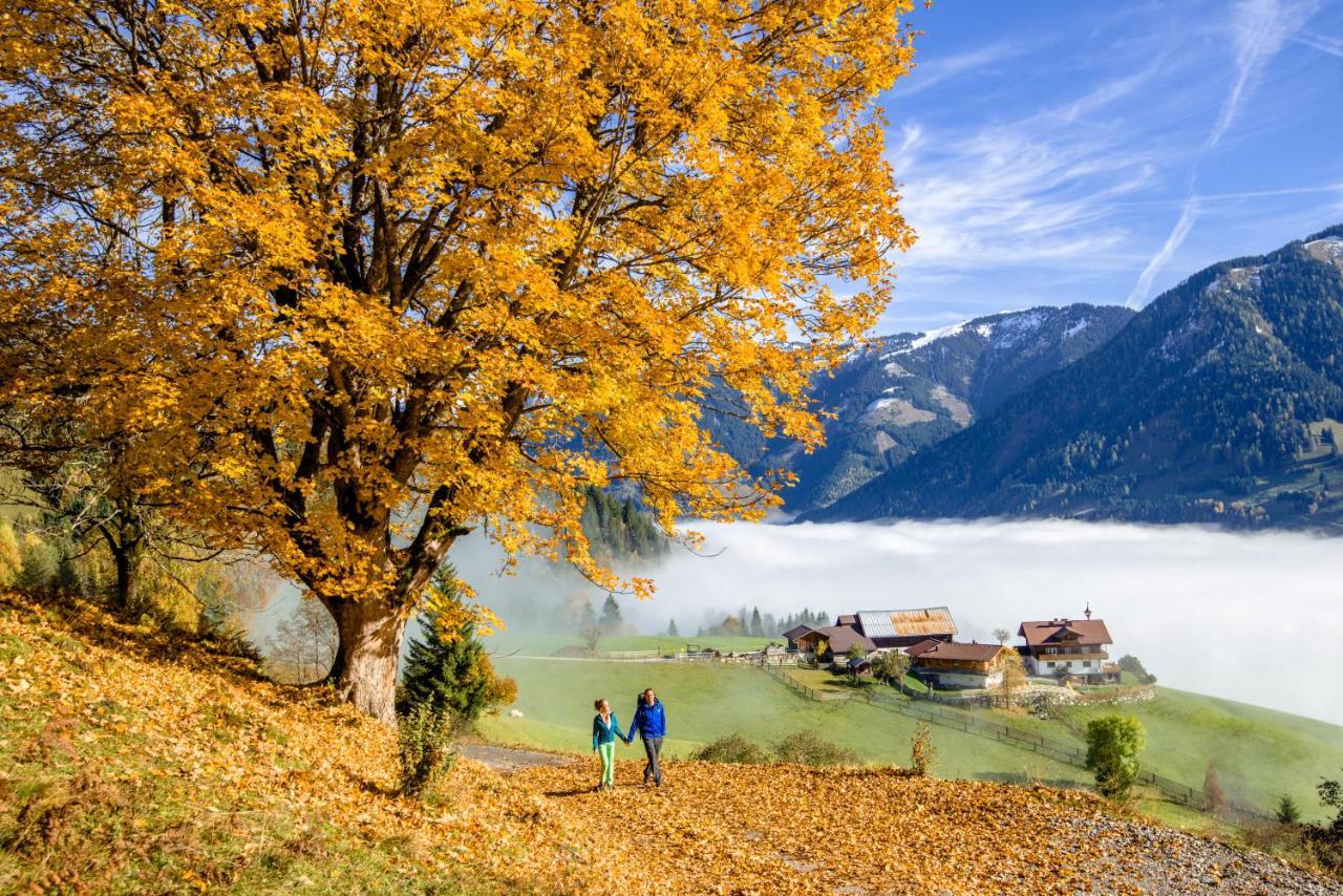 Alpine Appart Bad Hofgastein Exteriér fotografie